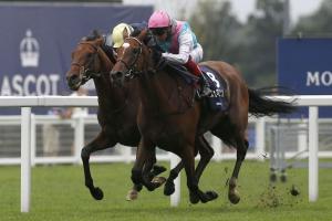 #ArcRoad : Enable impresses in epic King George #ArcRoad : Enable impresses in epic King George