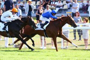 Messidor : Impulsif admitted in top milers' club Messidor : Impulsif admitted in top milers' club