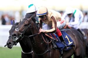 #DarleySeries : Nice crunch in the Papin #DarleySeries : Nice crunch in the Papin