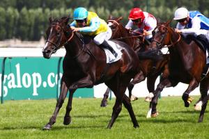 Psyché : Villa Marina, the strongest around Psyché : Villa Marina, the strongest around