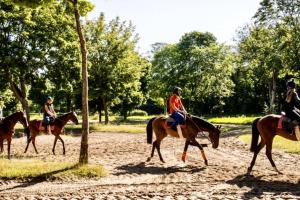 Plan de redynamisation du centre d’entraînement de Maisons-Laffitte Plan de redynamisation du centre d’entraînement de Maisons-Laffitte