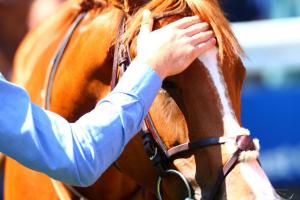 July 2019 maiden winners July 2019 maiden winners