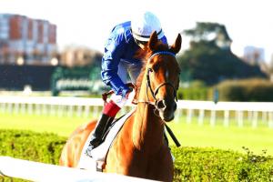 Quincey Barrière : Milers on their way back Quincey Barrière : Milers on their way back