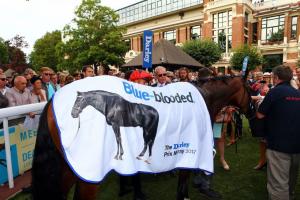 Darley Morny : The runners of the 149th edition Darley Morny : The runners of the 149th edition