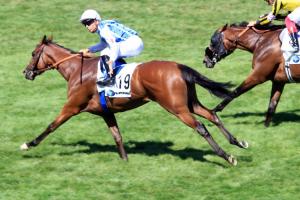 LARC Maurice de Gheest : French captain Polydream leads home defence LARC Maurice de Gheest : French captain Polydream leads home defence