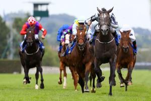 Fresnay-le-Buffard Marois : A good place to bounce back Fresnay-le-Buffard Marois : A good place to bounce back