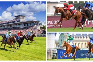 #ArcRoad : La distribution des Arc Trials met l’eau à la bouche