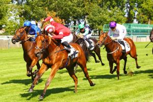 Arenberg : Al Raya's experience pays off Arenberg : Al Raya's experience pays off