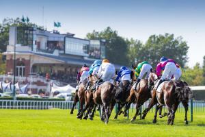 Darley Pomone & Kergorlay : More international games Darley Pomone & Kergorlay : More international games