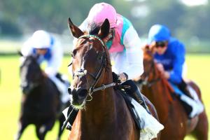 Logis Saint-Germain Guillaume d'Ornano : Headman leads the way Logis Saint-Germain Guillaume d'Ornano : Headman leads the way