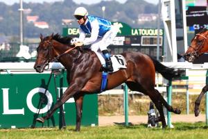 Grand Prix Barrière : Ziyad finally wins his big race Grand Prix Barrière : Ziyad finally wins his big race