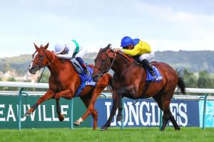 Darley Kergorlay : Marmelo follows Deauville path to Australia Darley Kergorlay : Marmelo follows Deauville path to Australia