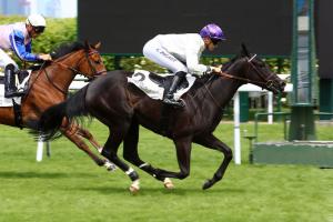 La Rochette : A fresh start to higher grounds La Rochette : A fresh start to higher grounds