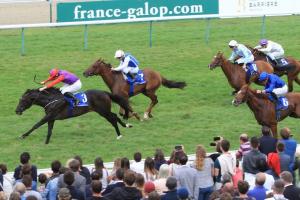 Blog des handicapeurs : les leçons du Marois Blog des handicapeurs : les leçons du Marois