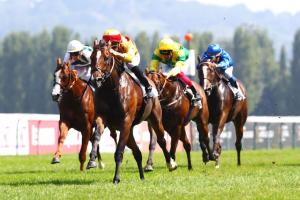 Meautry Barrière : Spinning Memories, a sprinting mare in the making Meautry Barrière : Spinning Memories, a sprinting mare in the making