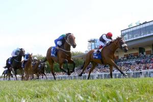 Darley Pomone : Dame Malliot wins outside her confort zone Darley Pomone : Dame Malliot wins outside her confort zone