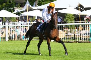 Gontaut-Biron Hong Kong Jockey Club : Trais Fluors rules the game Gontaut-Biron Hong Kong Jockey Club : Trais Fluors rules the game