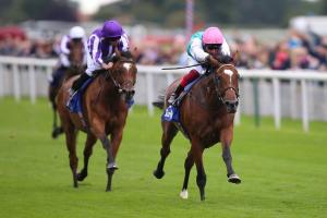 #ArcRoad : Enable bows out in style at York #ArcRoad : Enable bows out in style at York
