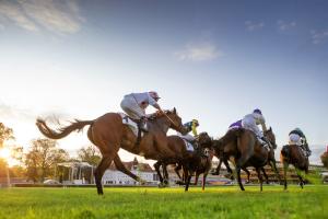 415 entries for Qatar Arc weekend 415 entries for Qatar Arc weekend