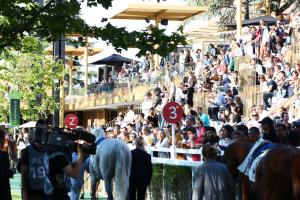 Don't miss the entries for the richest weekend in Europe at ParisLongchamp! Don't miss the entries for the richest weekend in Europe at ParisLongchamp!