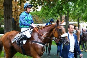 Monday at Auteuil: Timely returns Monday at Auteuil: Timely returns