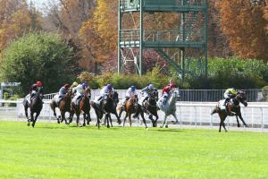 Usual suspects in Eclipse and Coupe de Maisons-Laffitte Usual suspects in Eclipse and Coupe de Maisons-Laffitte