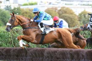 Monday at Auteuil : Galop Marin back in business Monday at Auteuil : Galop Marin back in business