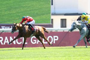 Qatar Foy : Waldgeist gets perfect prep Qatar Foy : Waldgeist gets perfect prep