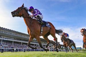 Magical montre ses muscles à domicile Magical montre ses muscles à domicile