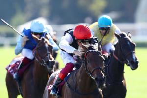 Qatar Vermeille : Star Catcher holds on to her crown Qatar Vermeille : Star Catcher holds on to her crown