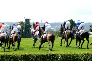 Auteuil : la Rivière du Huit nécessite une intervention Auteuil : la Rivière du Huit nécessite une intervention