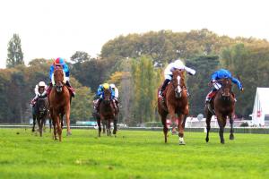 Tout sur les partants du Qatar Prix du Cadran 2019 Tout sur les partants du Qatar Prix du Cadran 2019