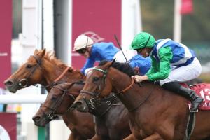 The 2019 Qatar Prix de la Foret runners The 2019 Qatar Prix de la Foret runners