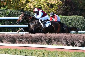 Haras d'Etreham Magne : Following L'Autonomie's steps Haras d'Etreham Magne : Following L'Autonomie's steps