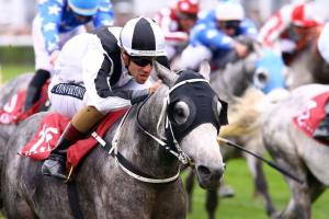 The top Purebred Arabians steel themselves for the big occasion The top Purebred Arabians steel themselves for the big occasion