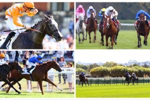 Qatar Arc Weekend : Party starts on Saturday! Qatar Arc Weekend : Party starts on Saturday!