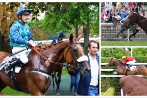 Dimanche à Auteuil: Revue d'effectifs avant les 48 heures de l'obstacle Dimanche à Auteuil: Revue d'effectifs avant les 48 heures de l'obstacle