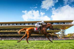 Qatar Marcel Boussac : Albigna, Lady Harrington's other Princess Qatar Marcel Boussac : Albigna, Lady Harrington's other Princess