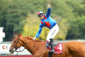 Qatar Prix du Cadran : Holdthasigreen gets his revenge Qatar Prix du Cadran : Holdthasigreen gets his revenge