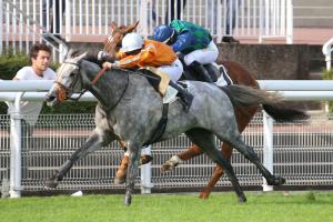 Carmarthen : C'est le tour de Paul's Saga Carmarthen : C'est le tour de Paul's Saga