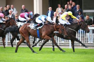 Critérium de Maisons-Laffitte : Shadn repels Devil Critérium de Maisons-Laffitte : Shadn repels Devil