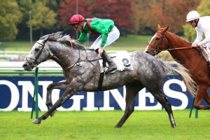 Royal-Oak : There's a new champion stayer in town Royal-Oak : There's a new champion stayer in town