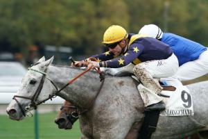 ParisLongchamp Sunday's sectional timing reports ParisLongchamp Sunday's sectional timing reports