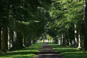 Le Haras d'Étreham partenaire des 48H de l'Obstacle à Auteuil