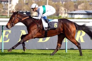 Réservoirs : Without or With You Réservoirs : Without or With You