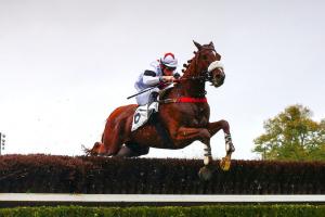 Cambacérès : Nothing beats Nirvana Cambacérès : Nothing beats Nirvana