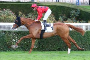 November 2019 Maiden winners November 2019 Maiden winners