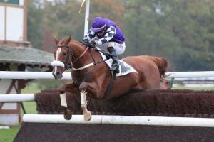 Grand Steeple de Compiègne : Le Costaud back on the right path Grand Steeple de Compiègne : Le Costaud back on the right path