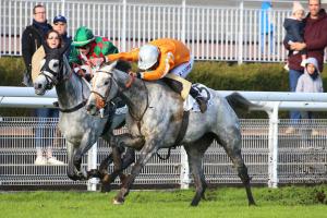 Prix Léon Olry-Roederer : In the shade of the grey mares Prix Léon Olry-Roederer : In the shade of the grey mares