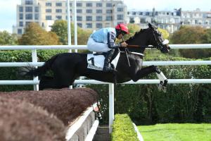 Haras d'Étreham Bournosienne : Want of a Nail and a championship Haras d'Étreham Bournosienne : Want of a Nail and a championship
